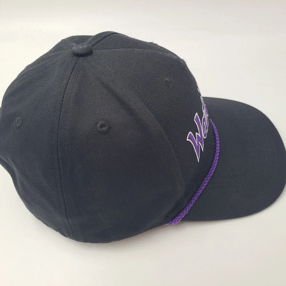 Philadelphia Waterdogs Hat Snapback Black Purple Rope PLL Lacrosse Script Men